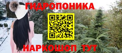 первитин Новозыбков