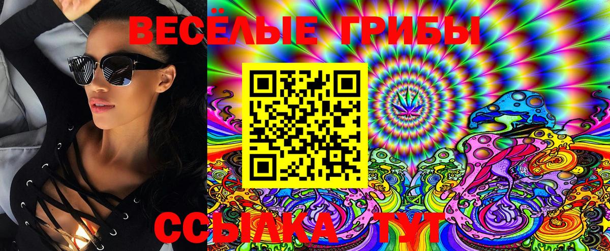 Галлюциногенные грибы GOLDEN TEACHER Ростов Великий
