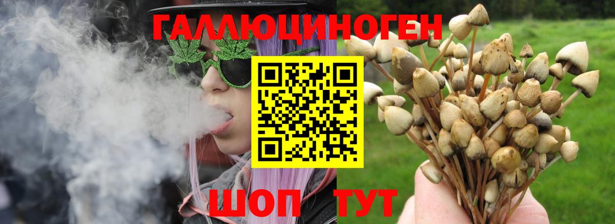 Ростов Великий  Галлюциногенные грибы Psilocybe  Вход с VPN 